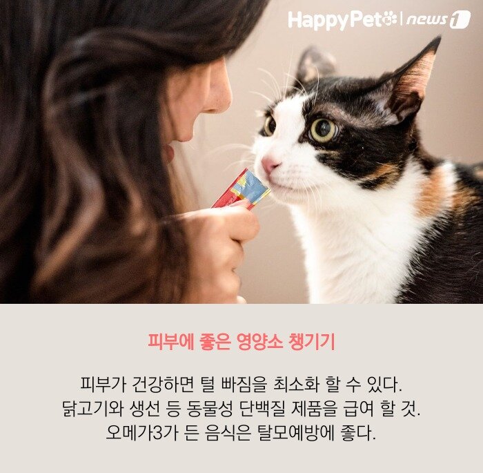 본문 이미지 -  