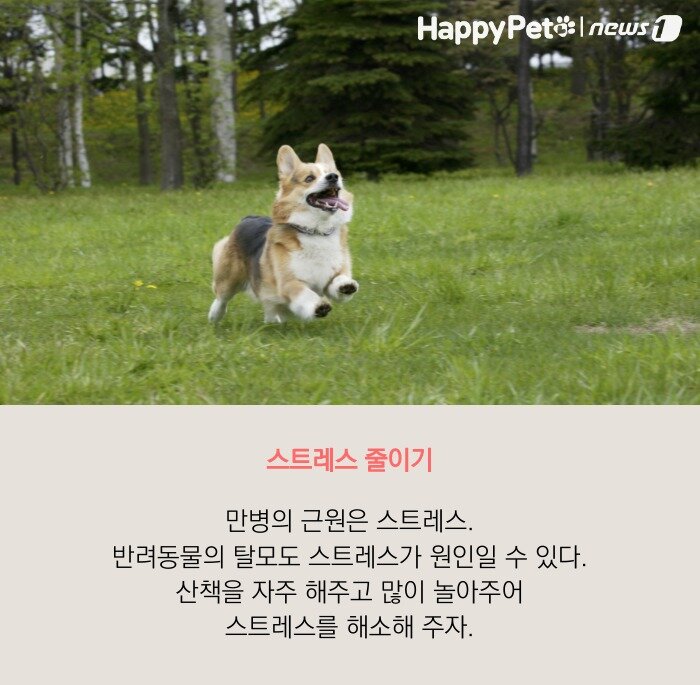 본문 이미지 -  