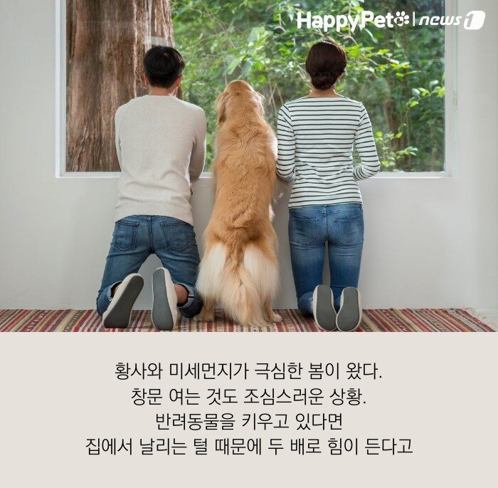 본문 이미지 -  