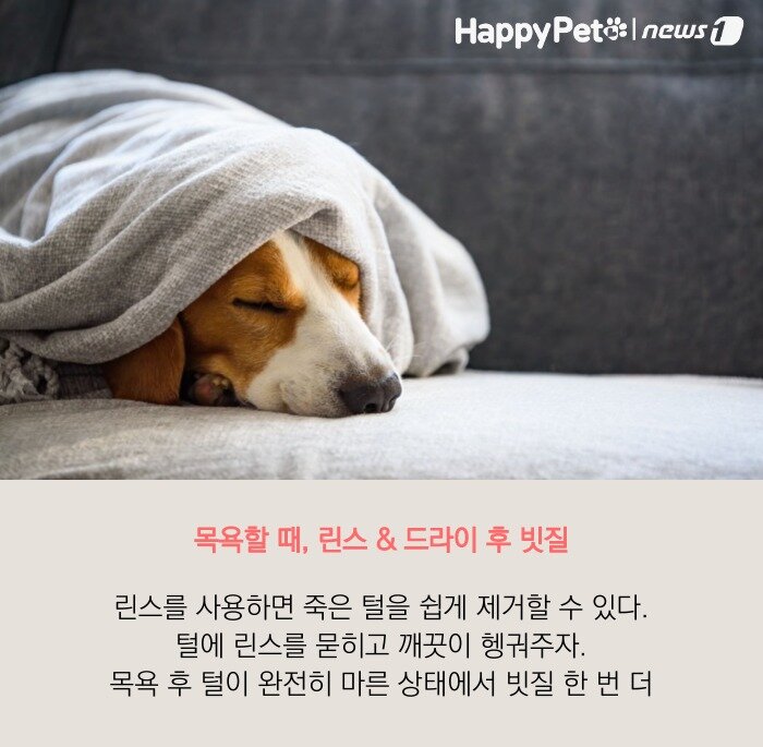 본문 이미지 -  