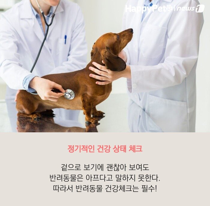 본문 이미지 -  