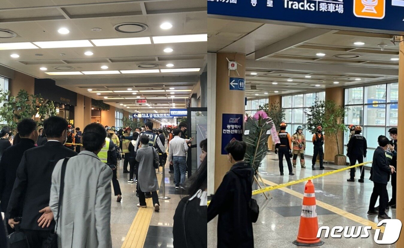 본문 이미지 - (온라인 커뮤니티 갈무리)