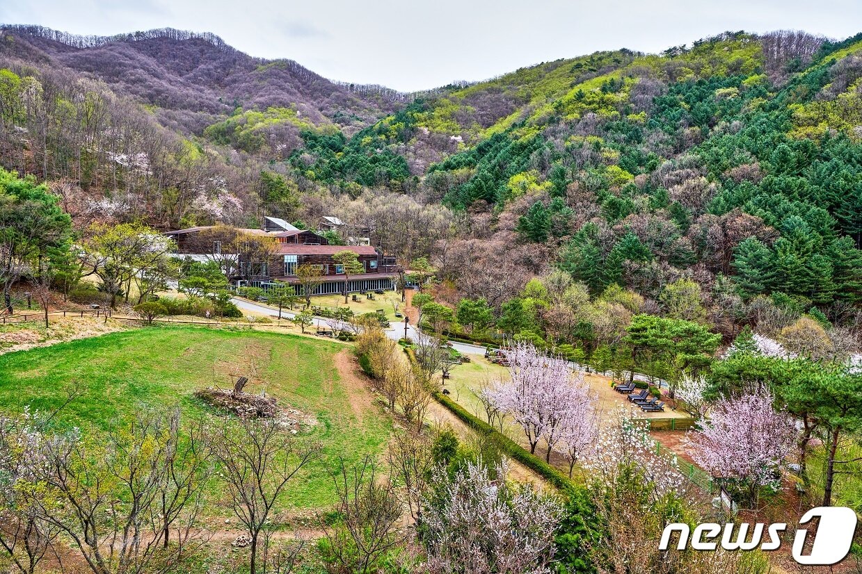 본문 이미지 - '힐리언스 선마을'.(선마을 제공)/뉴스1