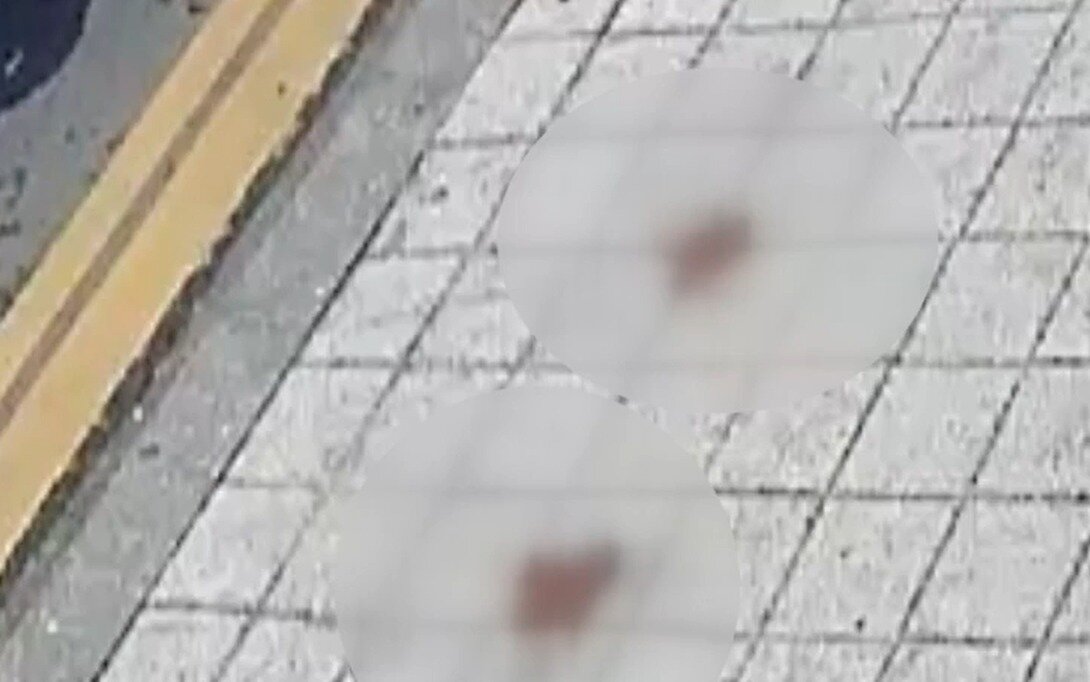 본문 이미지 - (YTN 갈무리)