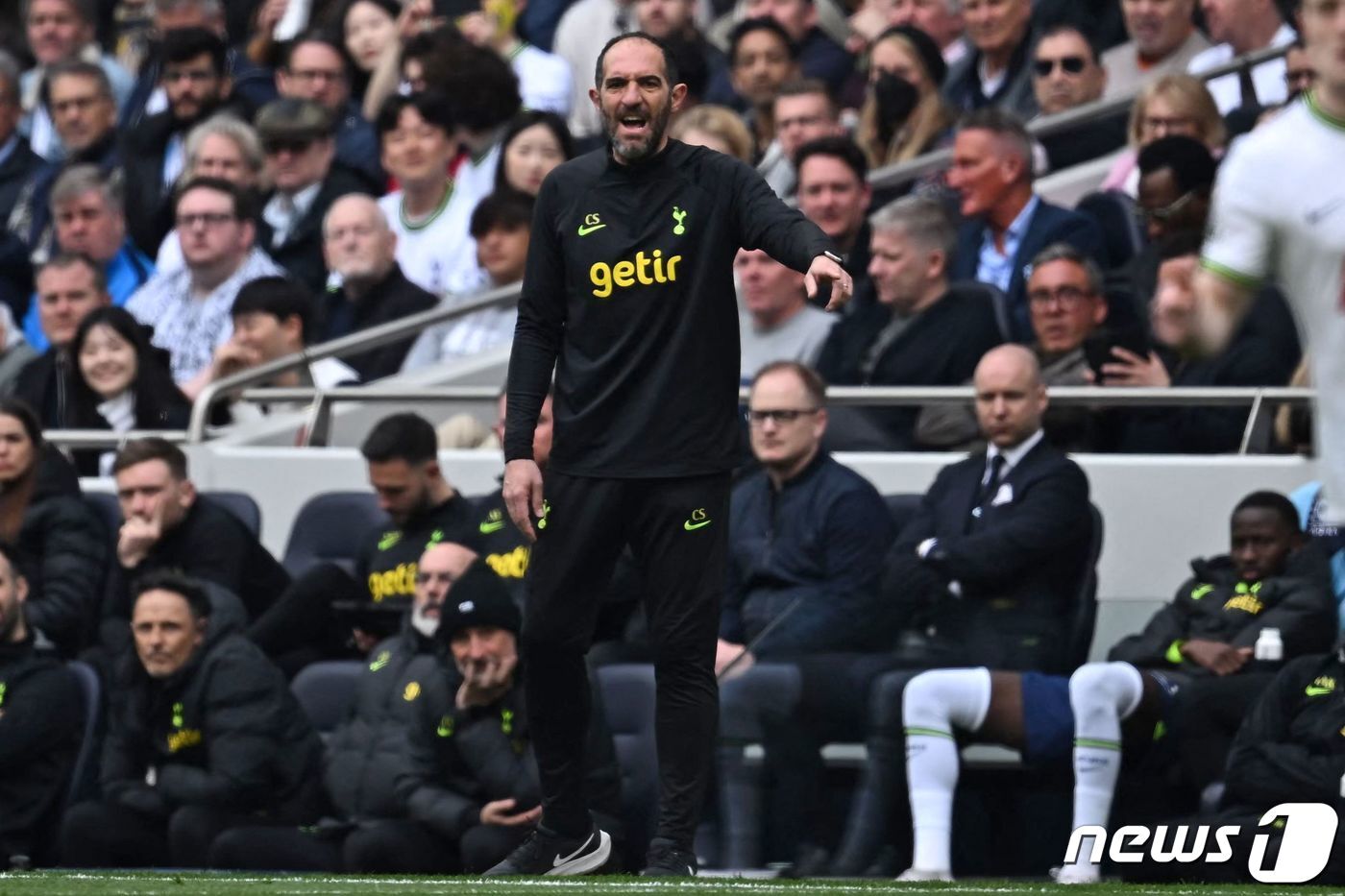 본문 이미지 - 크리스티안 스텔리니 토트넘 감독대행 ⓒ AFP=뉴스1