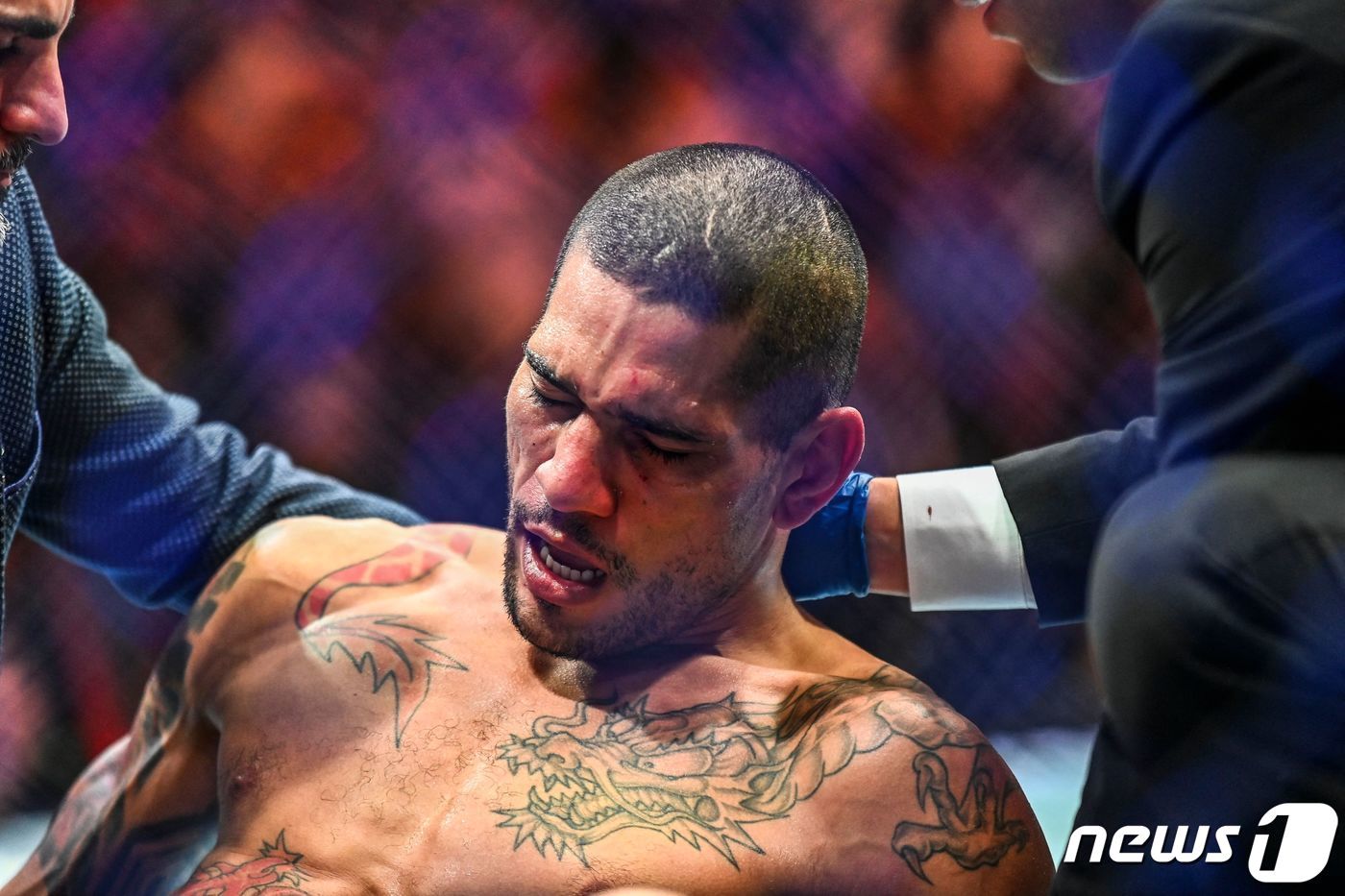 본문 이미지 - 아데산야의 펀치에 무너진 페레이라. ⓒ AFP=뉴스1