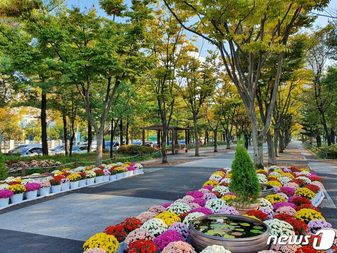 본문 이미지 -  대전 보라매공원길  