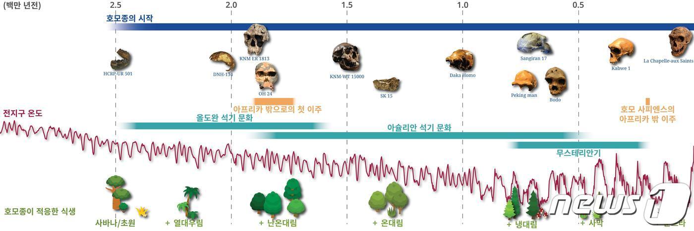 본문 이미지 - 호모종 진화와 식생. (IBS 제공)