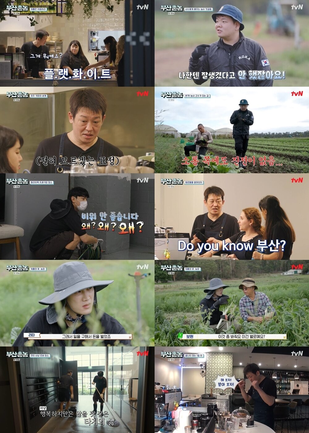 본문 이미지 - tvN