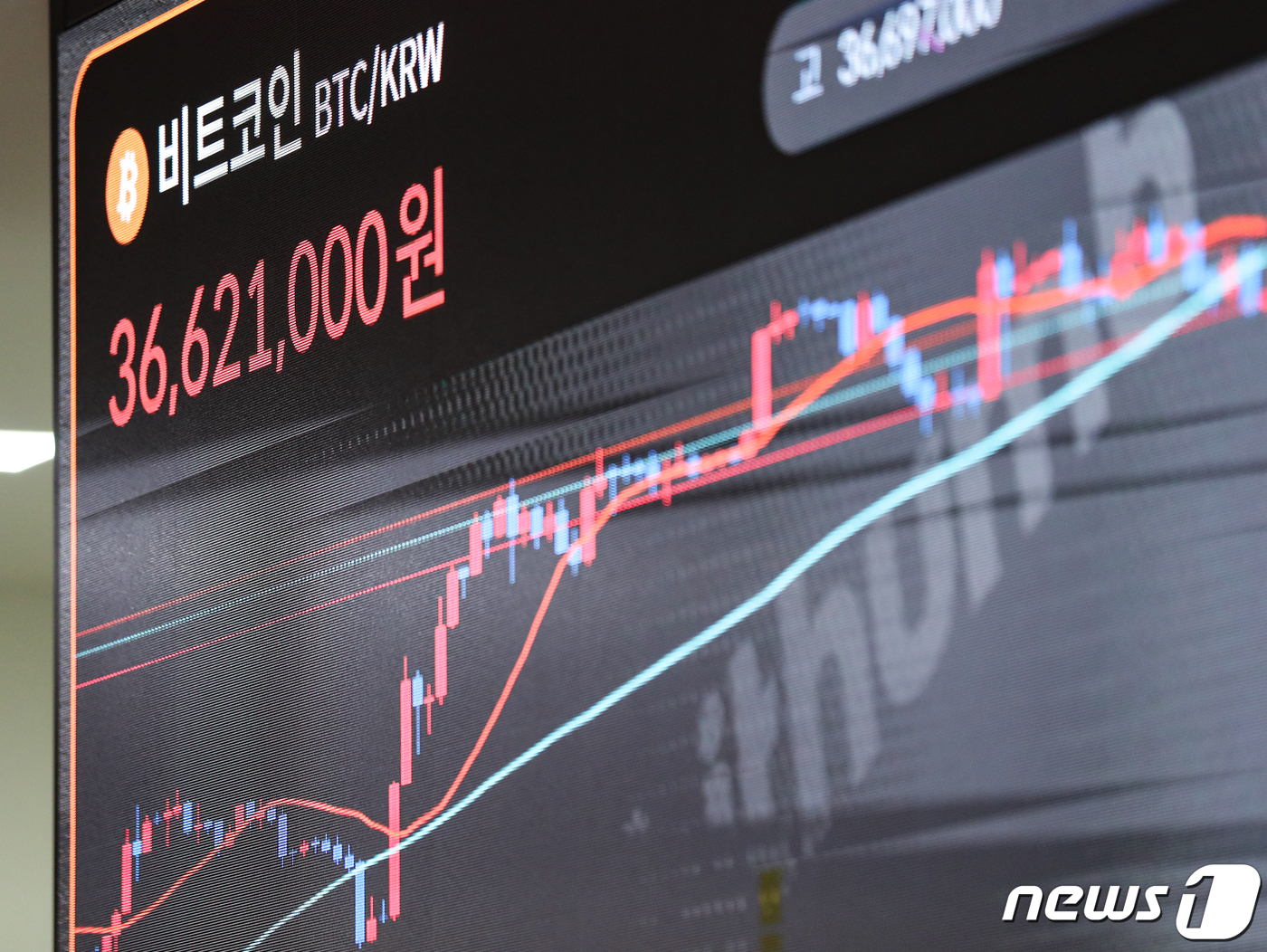 흔들리는 비트코인 - 뉴스1