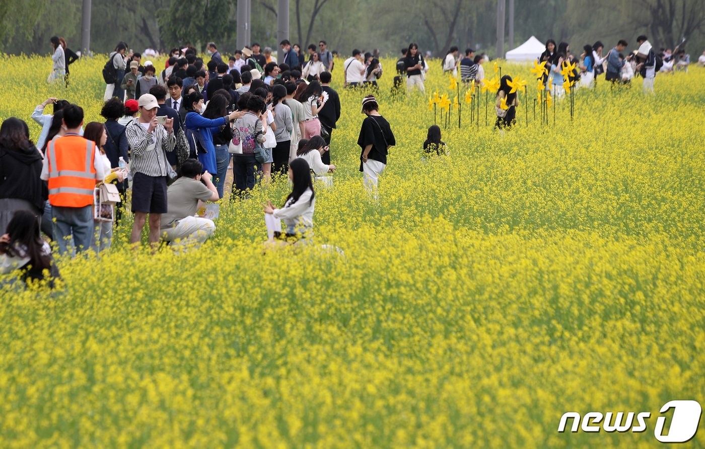 13일 오후 서울 서초구 반포한강공원 서래섬 일대에서 열린 &#39;2023 한강 서래섬 유채꽃 축제&#39;에서 시민들이 주말 꽃나들이를 즐기고 있다. 2023.5.13/뉴스1 ⓒ News1 구윤성 기자