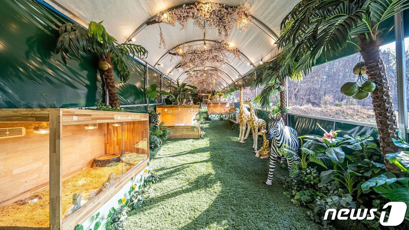 본문 이미지 -   논산 피크닉테마파크 '토끼랑 체험카페' 내부 전경. / 뉴스1