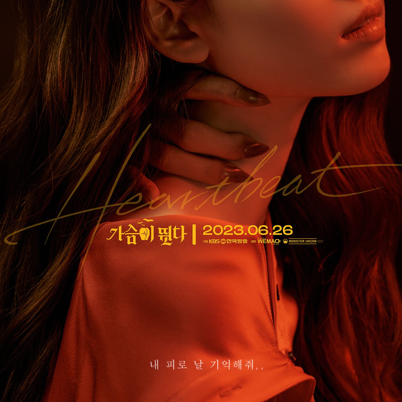 본문 이미지 - KBS 2TV '가슴이 뛴다' 포스터