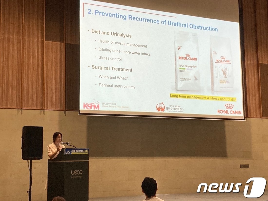 본문 이미지 - 로얄캐닌은 14일 울산전시컨벤션센터에서 이기쁨 청주 고려동물메디컬센터 원장과 함께 '고양이 방광염 최신 경향'을 주제로 특강을 진행했다.(로얄캐닌 제공) ⓒ 뉴스1