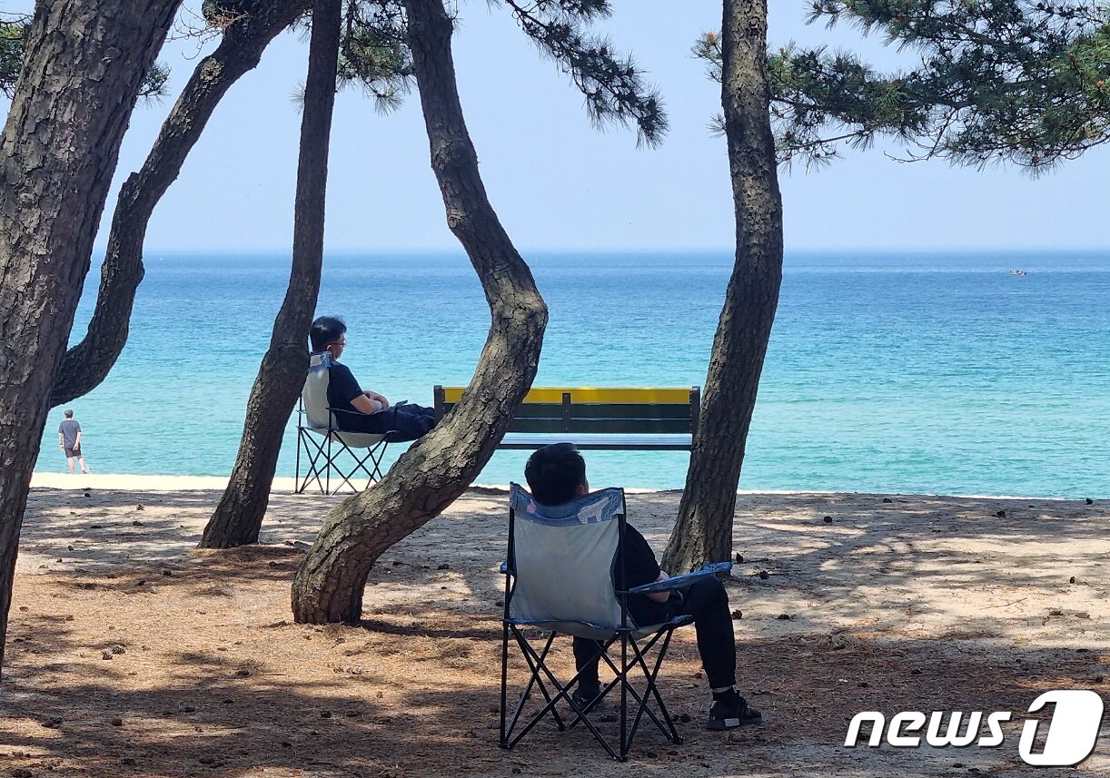 본문 이미지 - 강원 강릉지역 낮 최고기온이 35도를 넘긴 16일 강원도 강릉 송정해변을 찾은 관광객들이 솔밭 그늘에서 무더위를 날리고 있다. 2023.5.16/뉴스1 ⓒ News1 윤왕근 기자