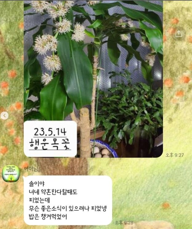 본문 이미지 - 방송인 이솔이 인스타그램 갈무리