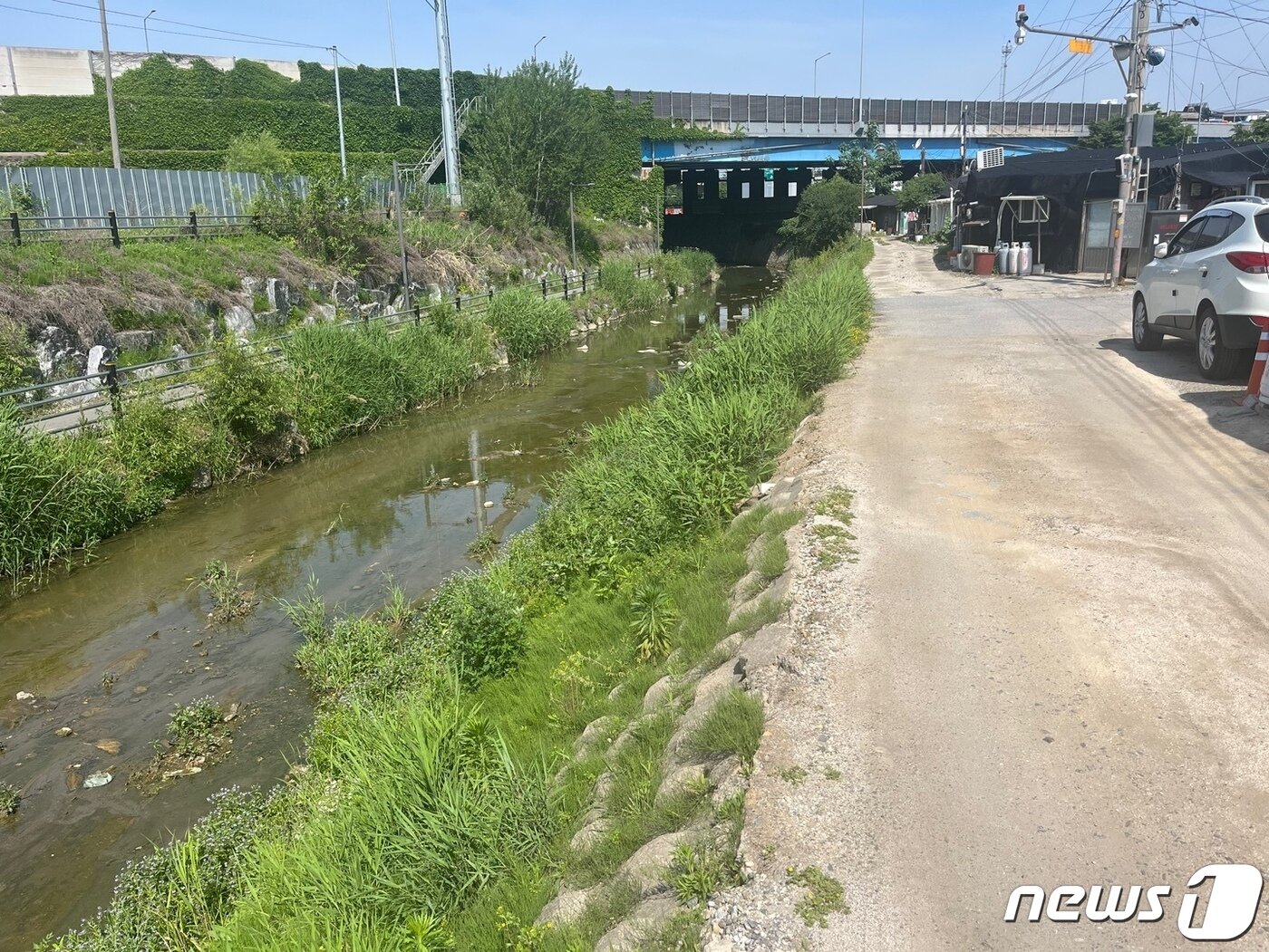 본문 이미지 - 때이른 더위가 찾아온 17일 서울 송파구 '화훼마을' 옆 하천 바닥이 드러났다.ⓒ 뉴스1