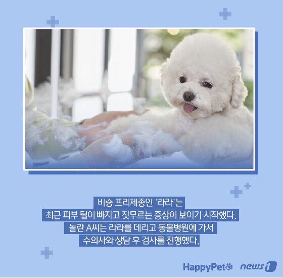 본문 이미지 -