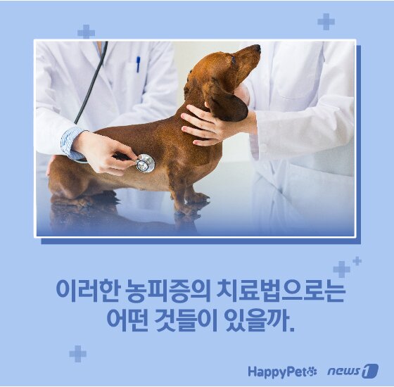 본문 이미지 -