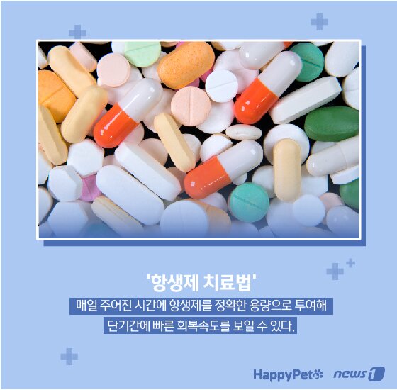 본문 이미지 -