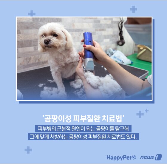 본문 이미지 -