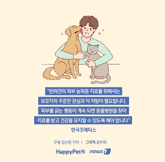 본문 이미지 -