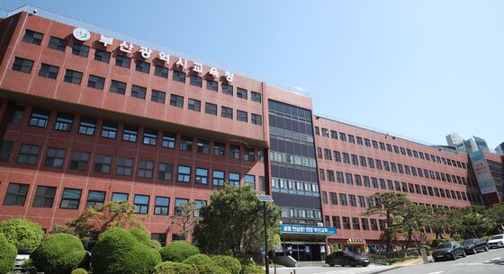 부산교육청, 초등교사 대상 2022 개정 교육과정 설계 연수