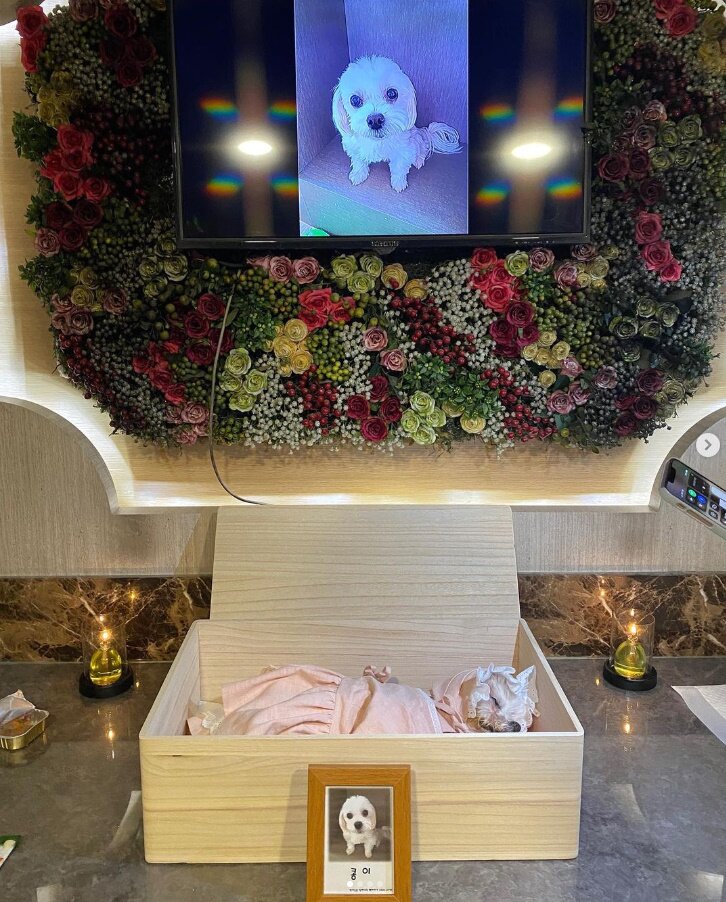 본문 이미지 - 김하영 인스타그램 캡처