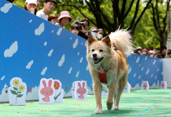 '천만 반려인' 울산 중구, 반려동물 친화도시 직원교육