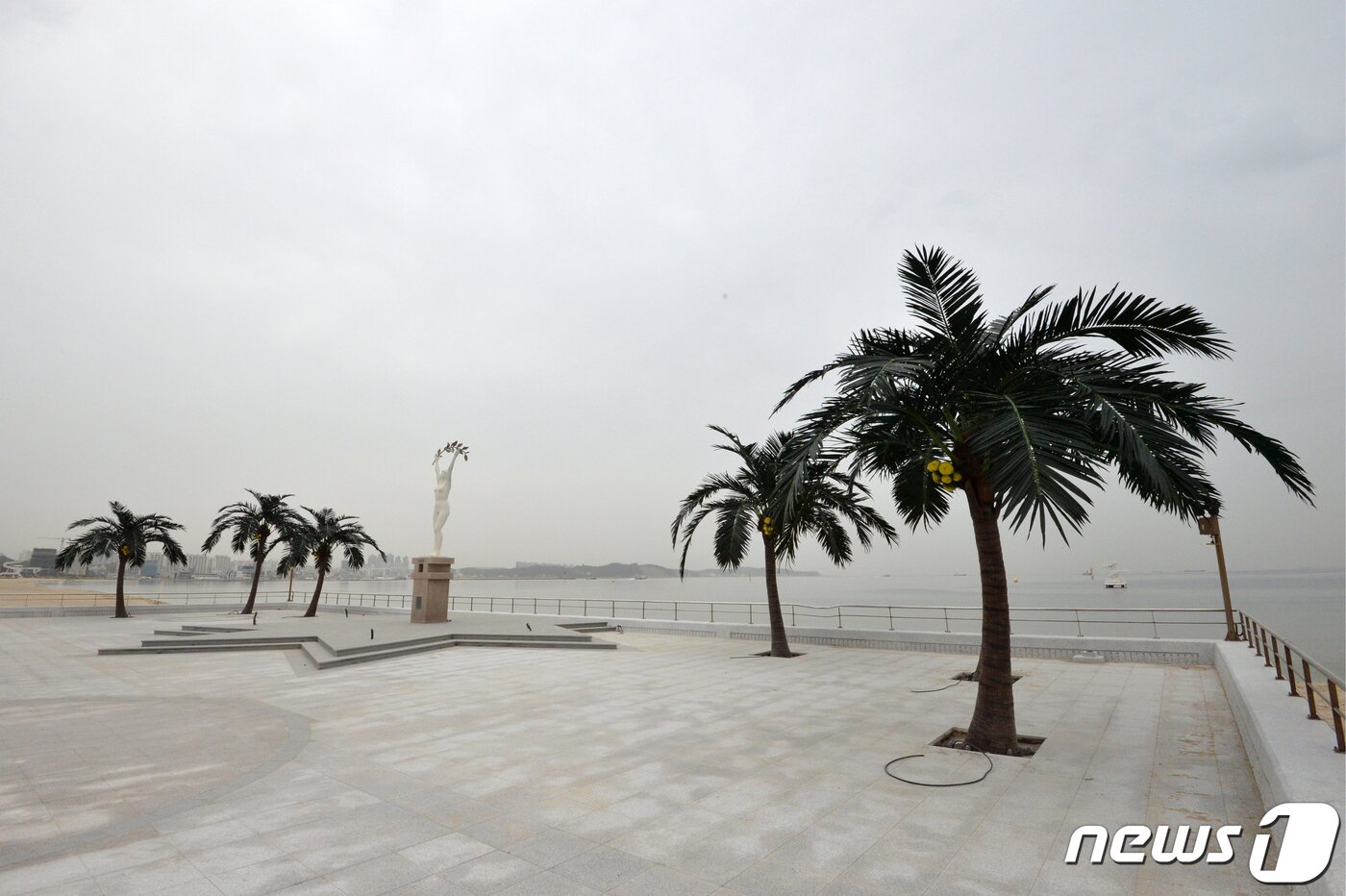 본문 이미지 - 경북 포항시 남구 송도해수욕장에 있는 평화의 여신상 옆으로 경관 조명으로 사용할 야자수가 설치돼 있다.(뉴스1 자료, 제판매 및 DB 금지) ⓒ News1 최창호 기자