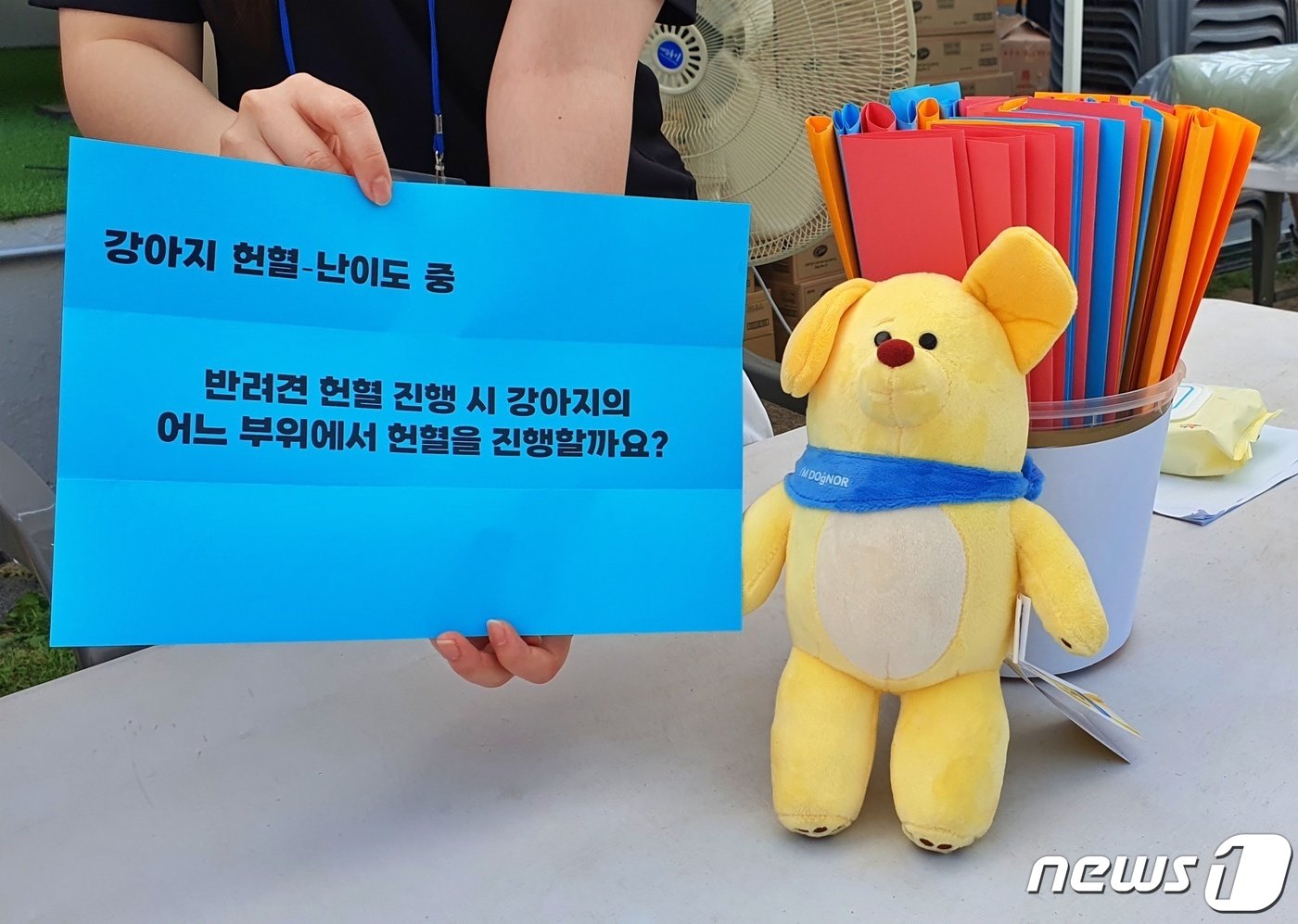 본문 이미지 - 광진구와 건국대는 20일 서울 어린이회관 서편운동장에서 반려동물과 함께하는 축제인 '반함 축제'를 진행했다. ⓒ 뉴스1 최서윤 기자