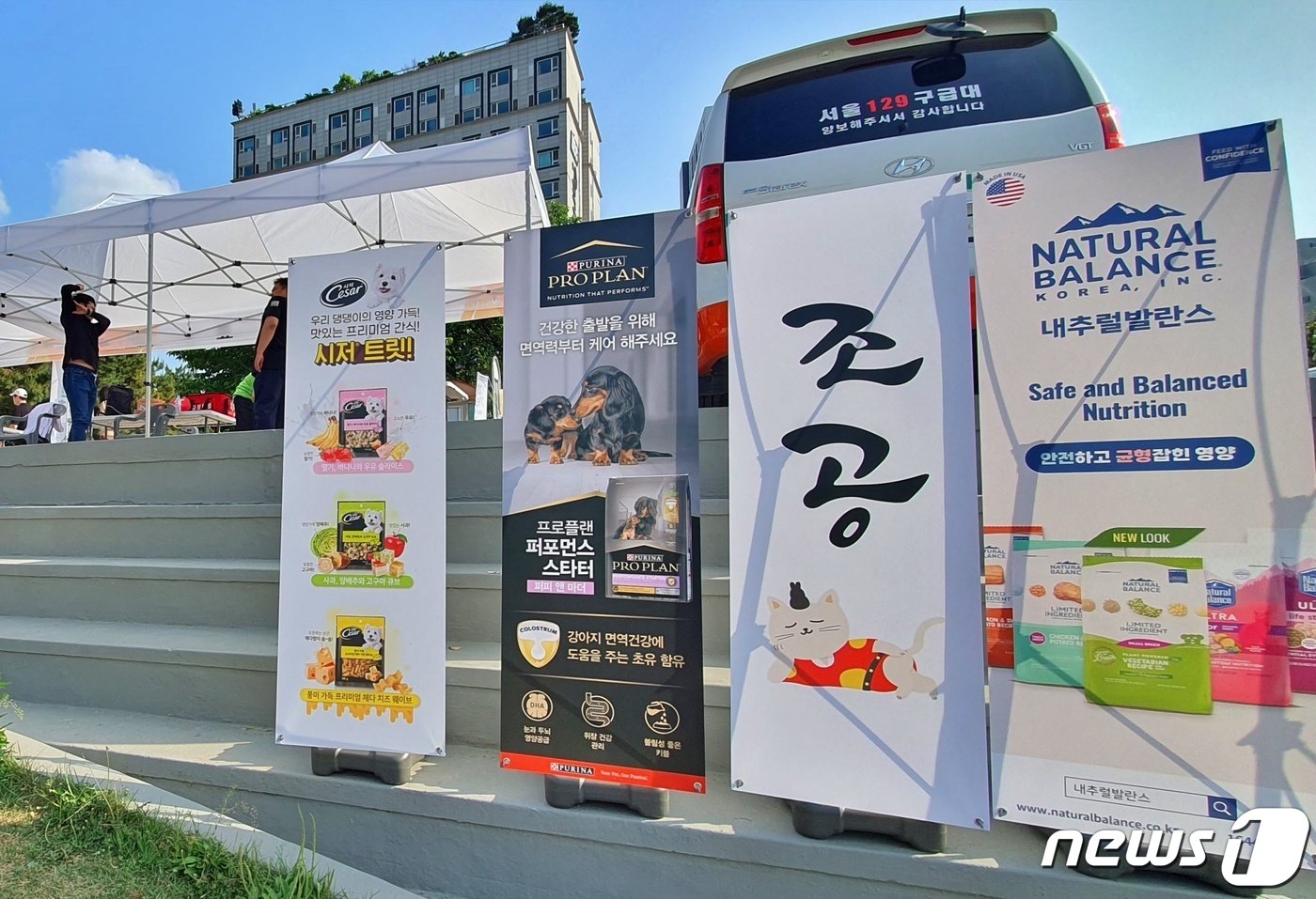 본문 이미지 - 광진구와 건국대는 20일 서울 어린이회관 서편운동장에서 반려동물과 함께하는 축제인 '반함 축제'를 진행했다. ⓒ 뉴스1 최서윤 기자