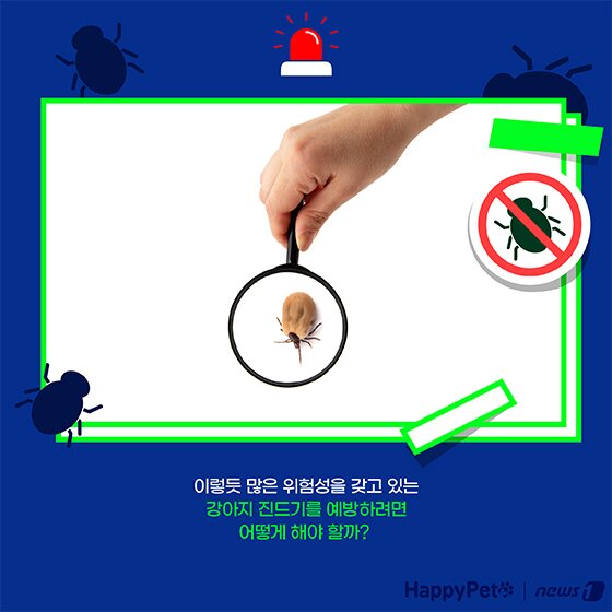 본문 이미지 - 여름철 진드기 펫카드