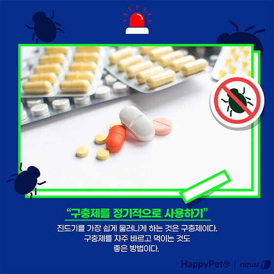 본문 이미지 - 여름철 진드기 펫카드