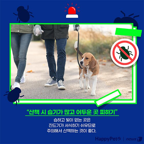 본문 이미지 - 여름철 진드기 펫카드