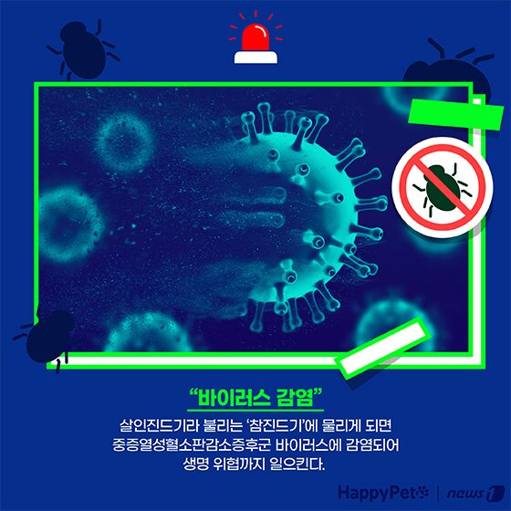 본문 이미지 - 여름철 진드기 펫카드
