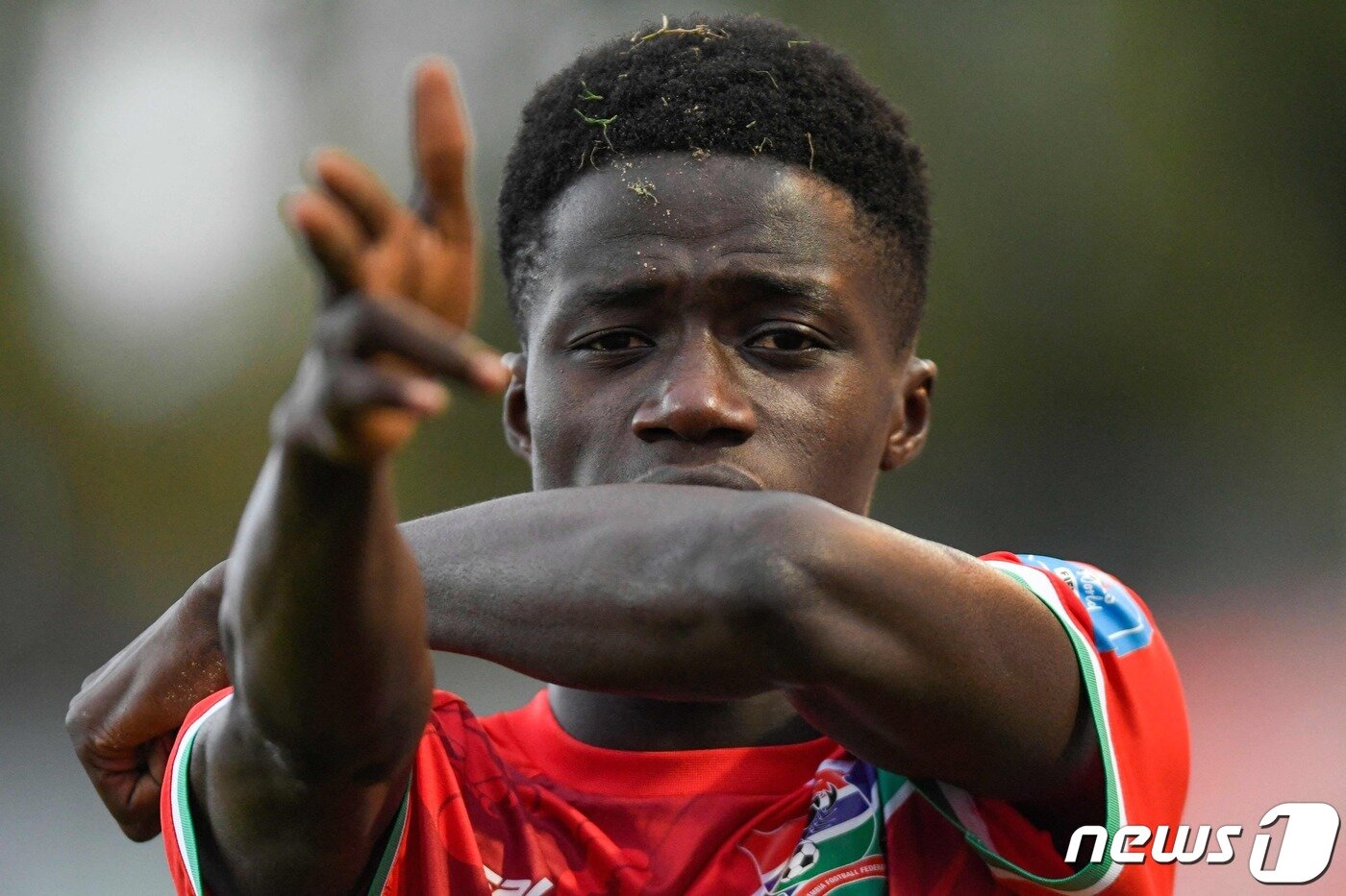 본문 이미지 - 감비아의 아다마 보장. ⓒ AFP=뉴스1