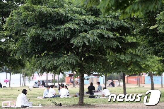 전국 대부분이 초여름 날씨를 보이고 있는 24일 오후 서울 여의도 한강공원을 찾은 시민들이 나무 그늘 아래서 휴식을 취하고 있다. 2023.5.24/뉴스1 © News1 이승배 기자