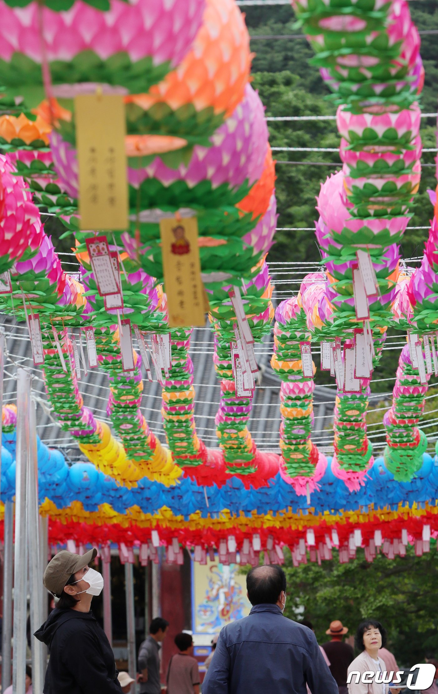 본문 이미지 - 불기 2567년 부처님 오신 날인 27일 전북 김제시 금산사에 한 불자가 소원지가 달린 연등을 바라보고 있다. 2023.5.27/뉴스1 ⓒ News1 유경석 기자