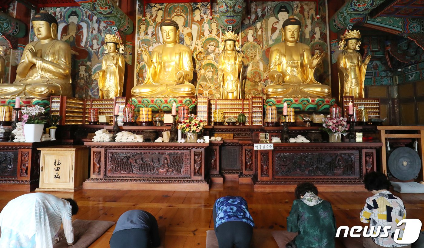 본문 이미지 - 불기 2567년 부처님 오신 날인 27일 전북 김제시 금산사에 불자들이 합장을 하고 기도를 드리고 있다. 2023.5.27/뉴스1 ⓒ News1 유경석 기자