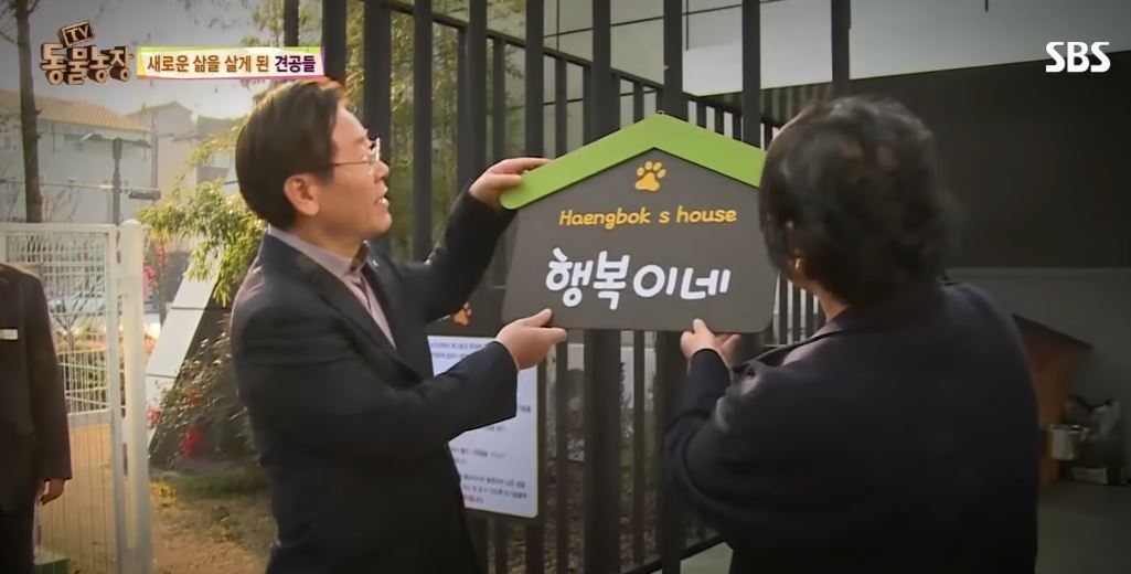 본문 이미지 - (SBS 'TV 동물농장')