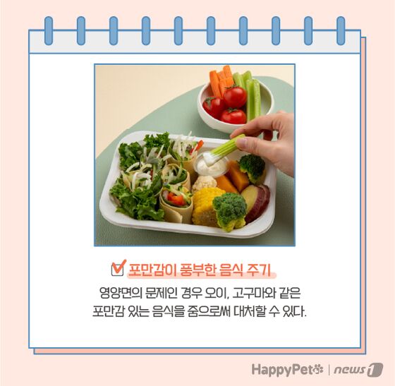 고양이 이식증 펫카드 © 뉴스1