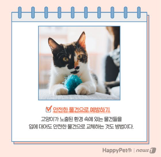  고양이 이식증 펫카드 © 뉴스1