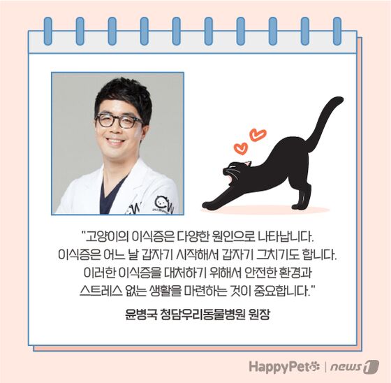 고양이 이식증 펫카드 © 뉴스1