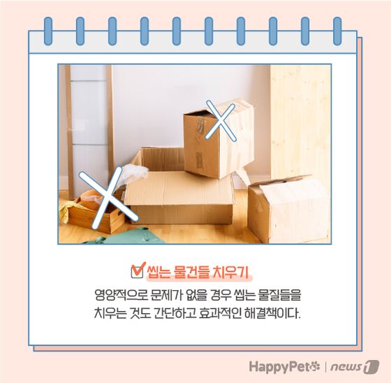 고양이 이식증 펫카드 © 뉴스1