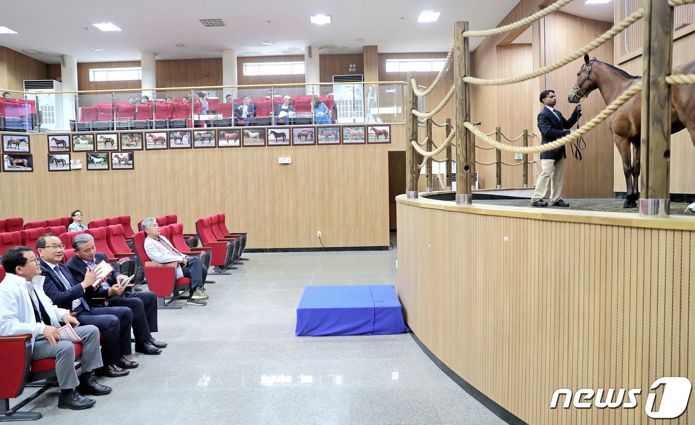 강병삼 제주시장이 30일 제주시 조천읍에 있는 사단법인 한국경주마생산자협회 경주마 경매장에서 국내산마&#40;더러브렛&#41; 경매를 참관하고 있다.&#40;제주시 제공&#41;2023.5.30./뉴스1