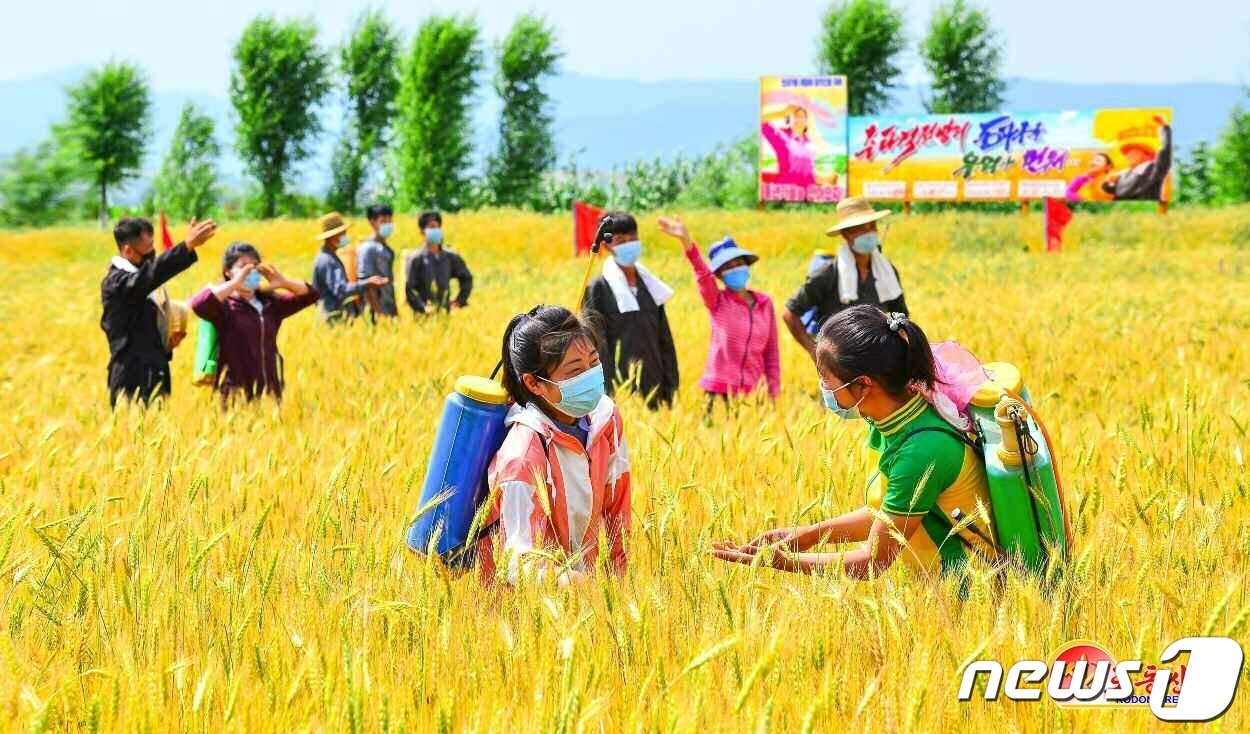 본문 이미지 - (평양 노동신문=뉴스1) = 북한 노동당 기관지 노동신문은 지난 11일 "당이 부르는 곳 그 어디나 우리 청년들이 있다"며 청년들의 '사상 무장'을 독려했다. [국내에서만 사용가능. 재배포 금지. DB 금지. For Use Only in the Republic of Korea. Redistribution Prohibited] rodongphoto@news1.kr