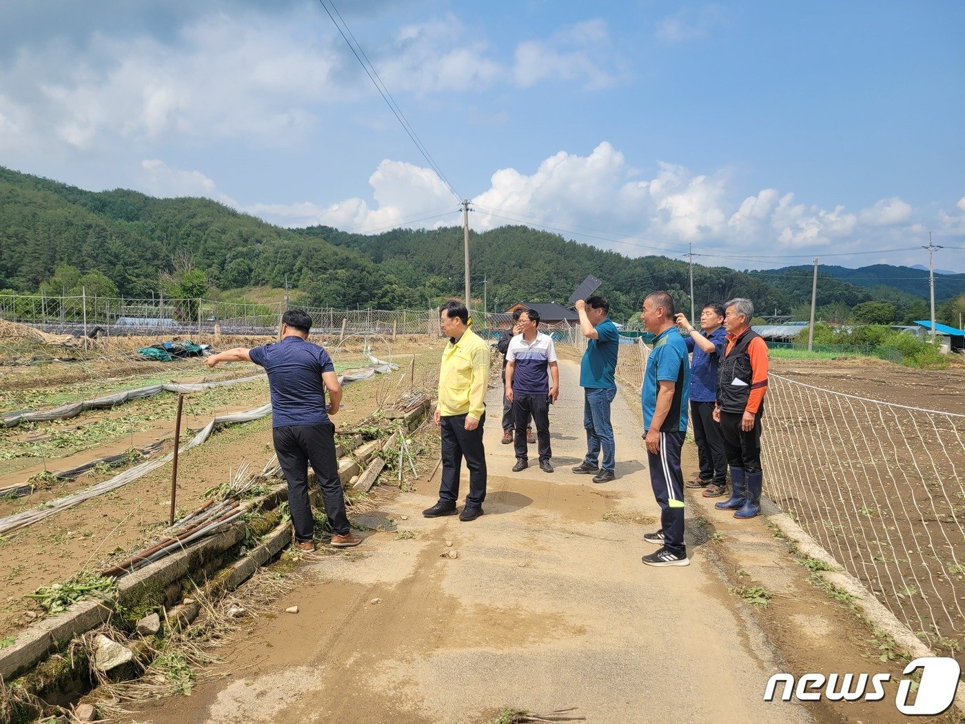 11일 김종필 전북 진안군 부군수와 관련 실과장들이 우박으로 피해를 입은 안천면 현장을 방문해 대책을 마련하고 있다.&#40;진안군제공&#41;2023.6.11/뉴스1