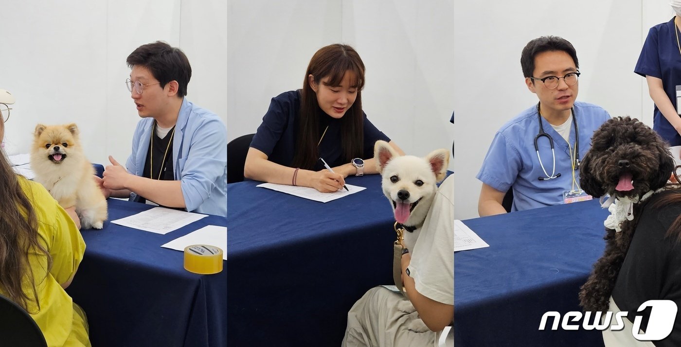 본문 이미지 - 반려동물 산업 전시회 '제20회 대구펫쇼'가 11일 대구 엑스포에서 진행됐다. ⓒ 뉴스1 최서윤 기자