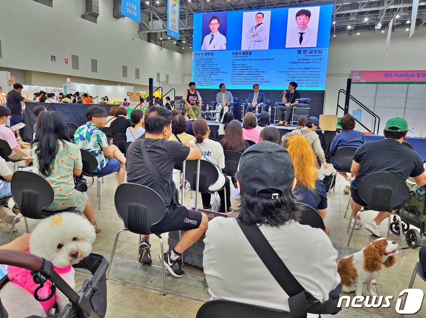 본문 이미지 - 반려동물 산업 전시회 '제20회 대구펫쇼'가 11일 대구 엑스포에서 진행됐다. ⓒ 뉴스1 최서윤 기자